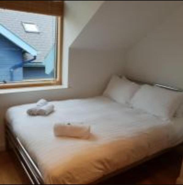 Parc Y Bryn Luxury Penthouse Apartment Aberystwyth Exterior foto